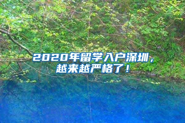 2020年留学入户深圳，越来越严格了！