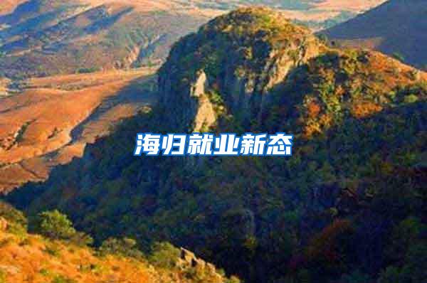 海归就业新态