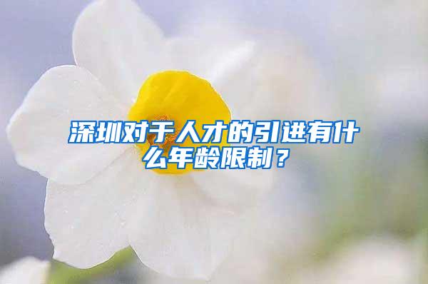 深圳对于人才的引进有什么年龄限制？