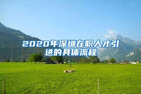 2020年深圳在职人才引进的具体流程