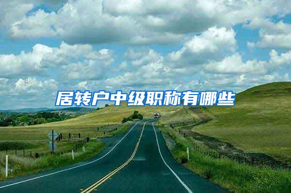 居转户中级职称有哪些