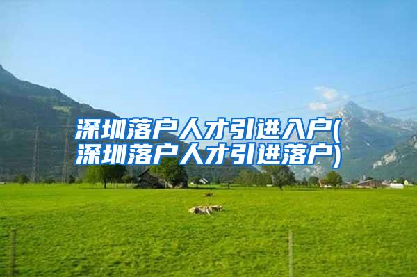 深圳落户人才引进入户(深圳落户人才引进落户)