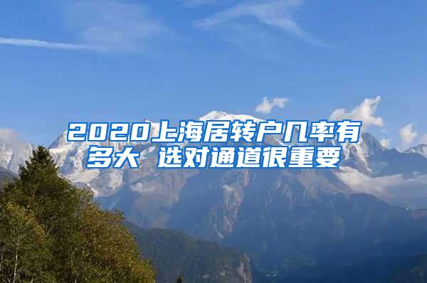 2020上海居转户几率有多大 选对通道很重要