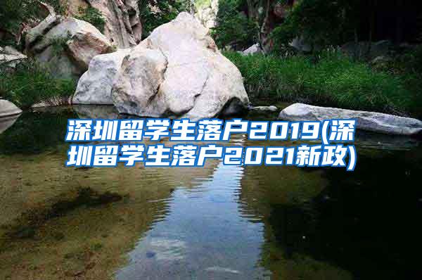 深圳留学生落户2019(深圳留学生落户2021新政)