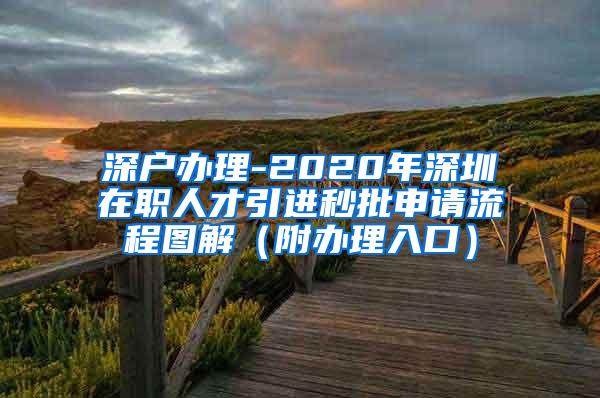 深户办理-2020年深圳在职人才引进秒批申请流程图解（附办理入口）