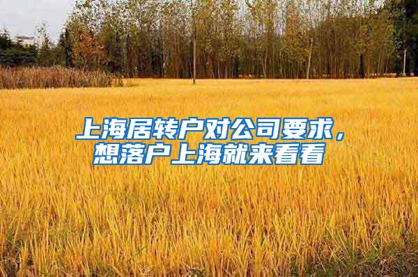 上海居转户对公司要求，想落户上海就来看看