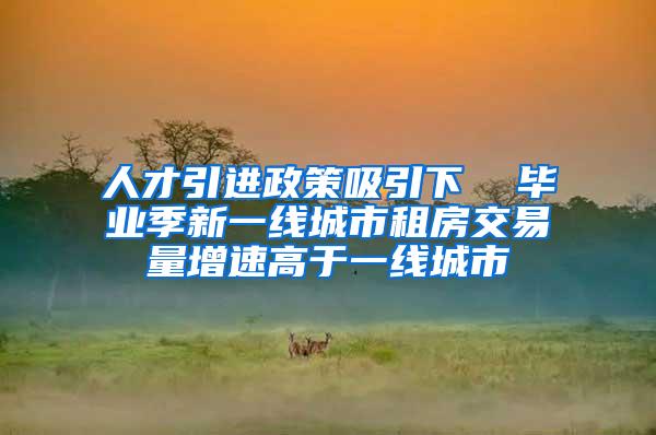 人才引进政策吸引下  毕业季新一线城市租房交易量增速高于一线城市