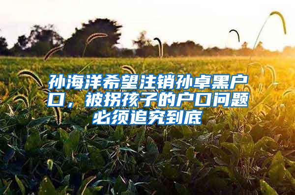 孙海洋希望注销孙卓黑户口，被拐孩子的户口问题必须追究到底