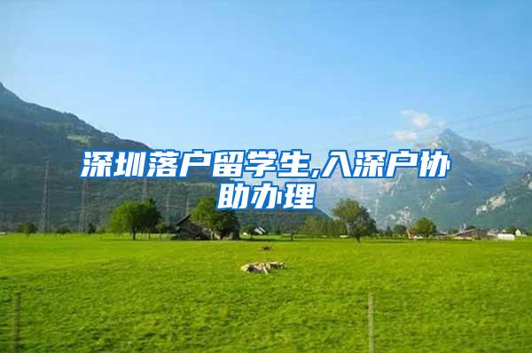 深圳落户留学生,入深户协助办理