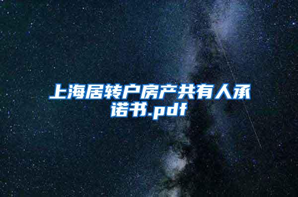 上海居转户房产共有人承诺书.pdf