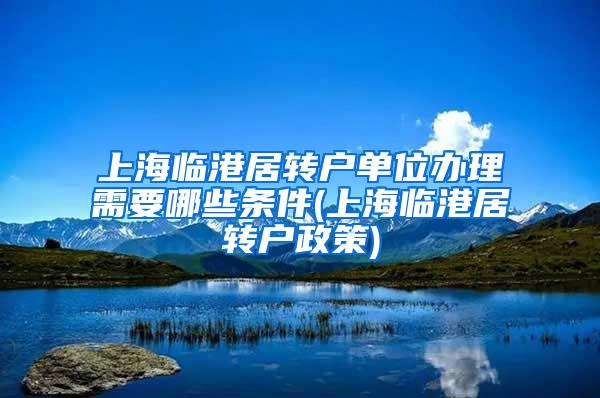 上海临港居转户单位办理需要哪些条件(上海临港居转户政策)