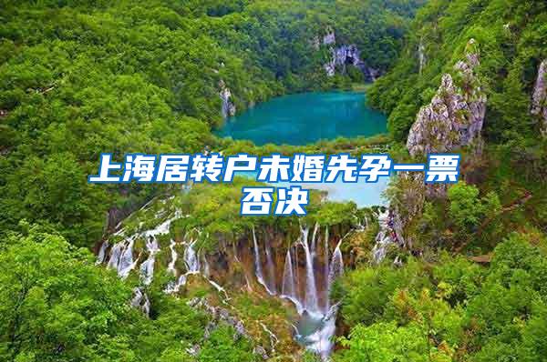 上海居转户未婚先孕一票否决