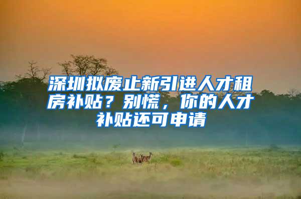 深圳拟废止新引进人才租房补贴？别慌，你的人才补贴还可申请