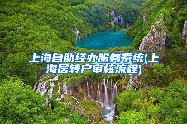 上海自助经办服务系统(上海居转户审核流程)