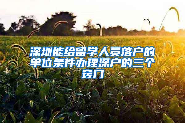 深圳能给留学人员落户的单位条件办理深户的三个窍门