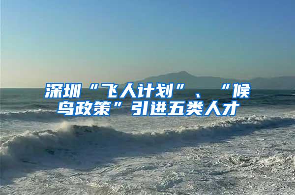 深圳“飞人计划”、“候鸟政策”引进五类人才