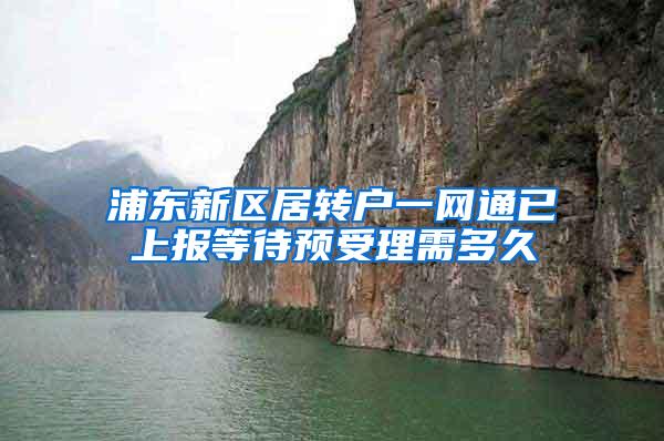 浦东新区居转户一网通已上报等待预受理需多久