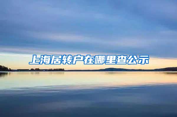 上海居转户在哪里查公示