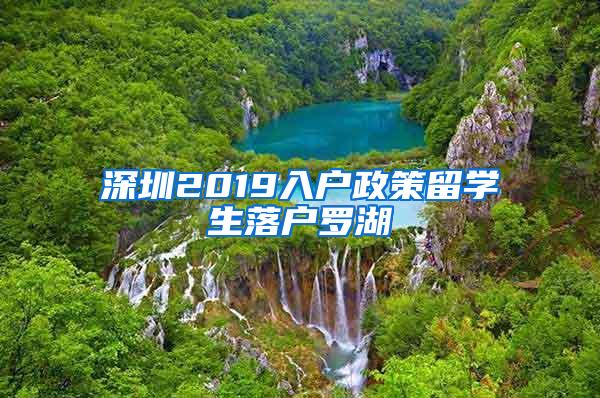 深圳2019入户政策留学生落户罗湖