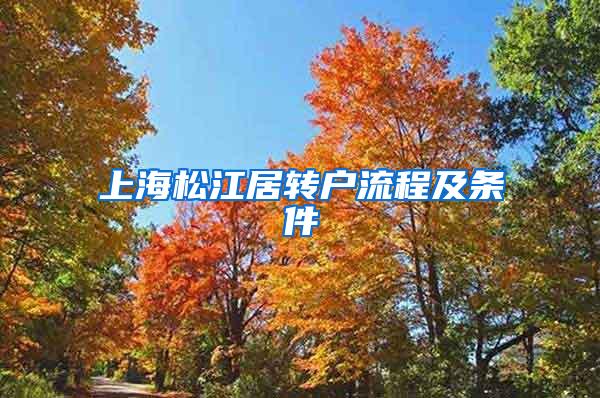 上海松江居转户流程及条件