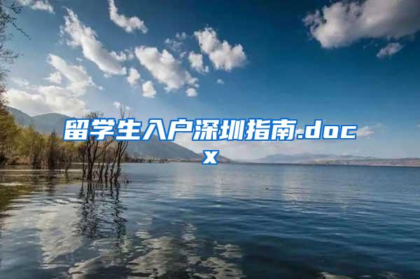 留学生入户深圳指南.docx