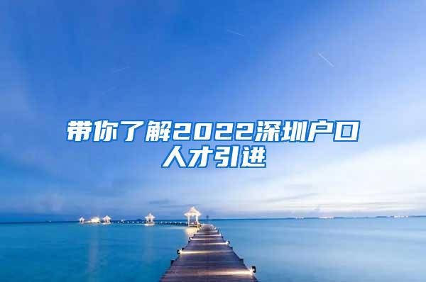 带你了解2022深圳户口人才引进