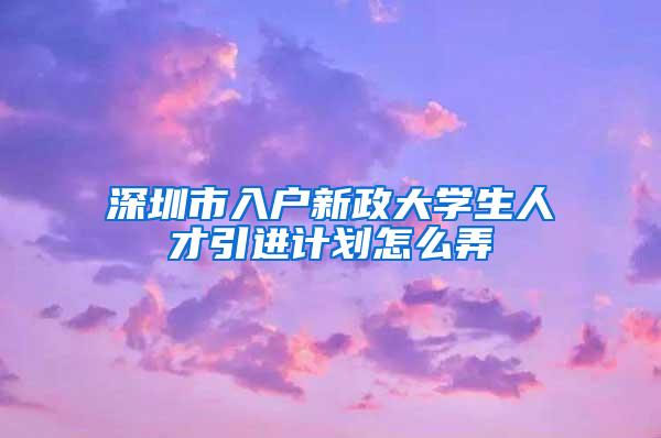 深圳市入户新政大学生人才引进计划怎么弄