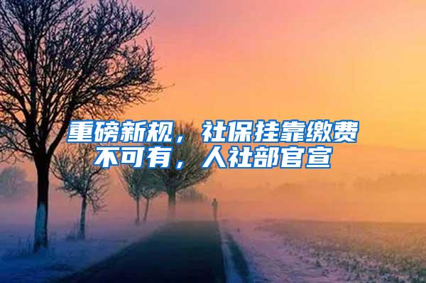 重磅新规，社保挂靠缴费不可有，人社部官宣