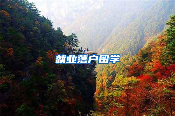 就业落户留学