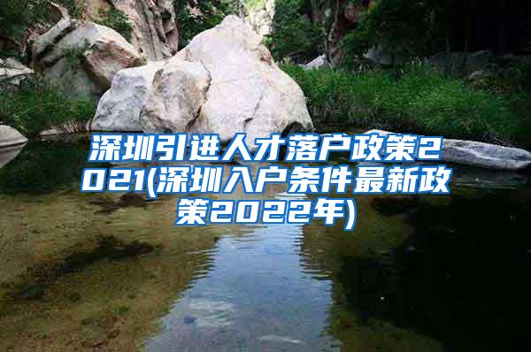 深圳引进人才落户政策2021(深圳入户条件最新政策2022年)