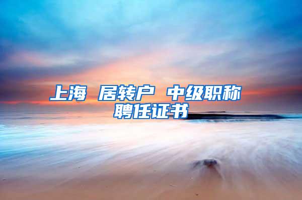 上海 居转户 中级职称 聘任证书
