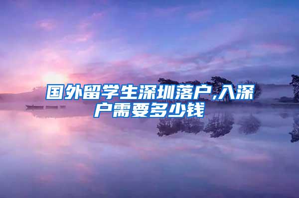 国外留学生深圳落户,入深户需要多少钱