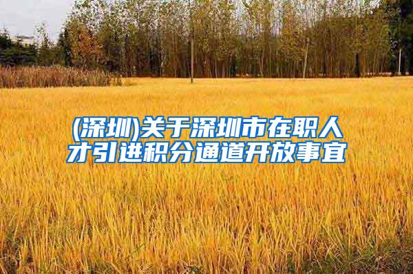 (深圳)关于深圳市在职人才引进积分通道开放事宜