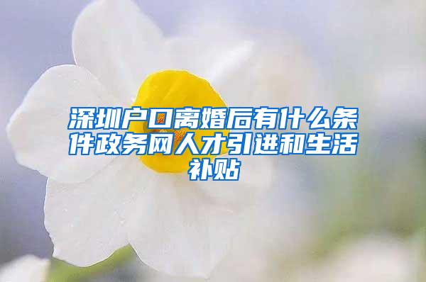 深圳户口离婚后有什么条件政务网人才引进和生活补贴