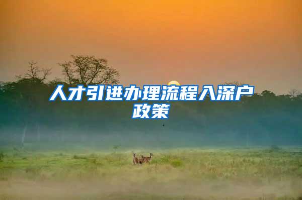 人才引进办理流程入深户政策