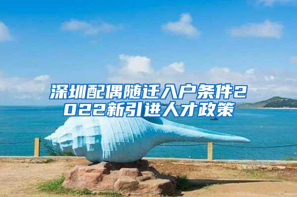 深圳配偶随迁入户条件2022新引进人才政策