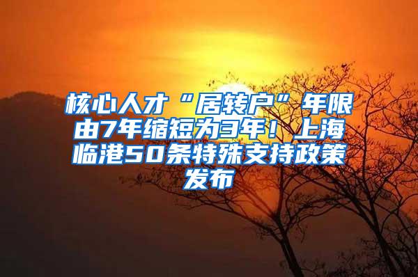 核心人才“居转户”年限由7年缩短为3年！上海临港50条特殊支持政策发布