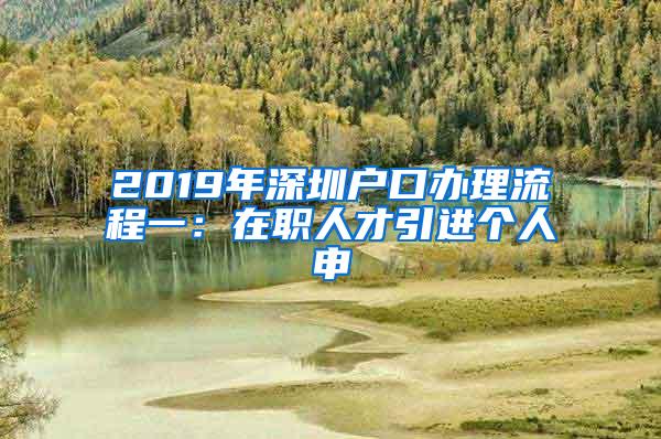 2019年深圳户口办理流程一：在职人才引进个人申