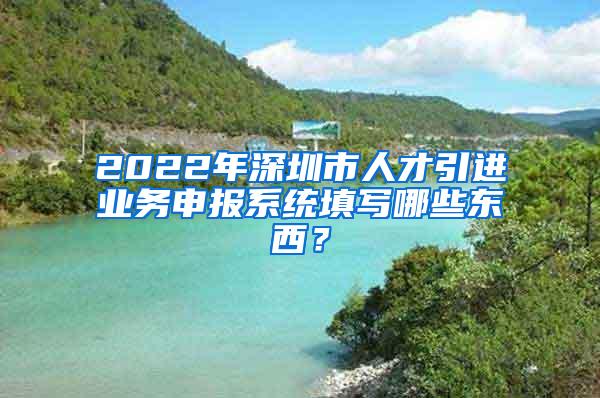 2022年深圳市人才引进业务申报系统填写哪些东西？