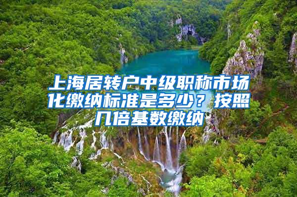 上海居转户中级职称市场化缴纳标准是多少？按照几倍基数缴纳