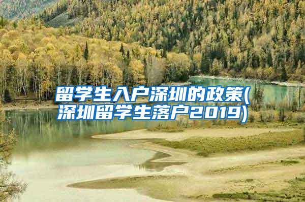 留学生入户深圳的政策(深圳留学生落户2019)