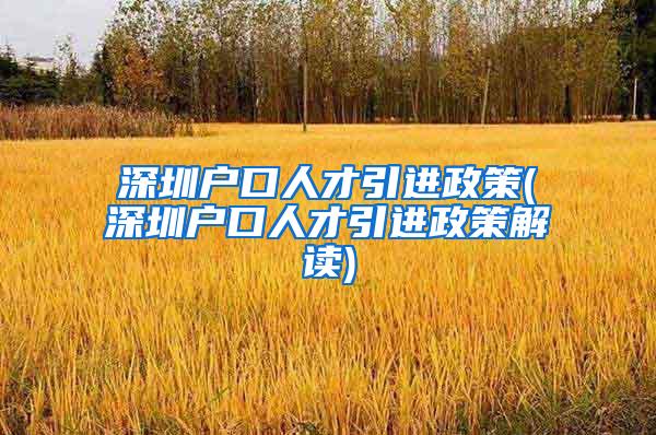 深圳户口人才引进政策(深圳户口人才引进政策解读)