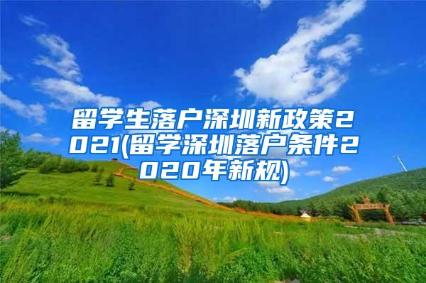 留学生落户深圳新政策2021(留学深圳落户条件2020年新规)
