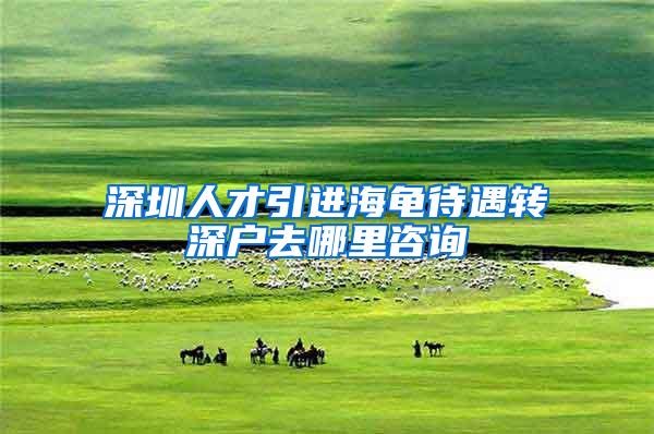 深圳人才引进海龟待遇转深户去哪里咨询