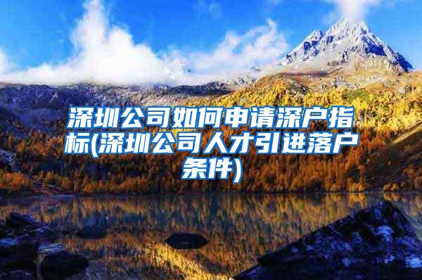 深圳公司如何申请深户指标(深圳公司人才引进落户条件)