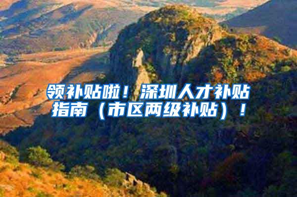 领补贴啦！深圳人才补贴指南（市区两级补贴）！