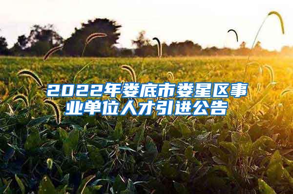 2022年娄底市娄星区事业单位人才引进公告