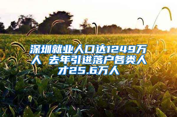 深圳就业人口达1249万人 去年引进落户各类人才25.6万人