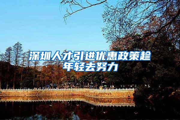深圳人才引进优惠政策趁年轻去努力