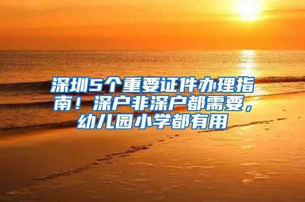 深圳5个重要证件办理指南！深户非深户都需要，幼儿园小学都有用